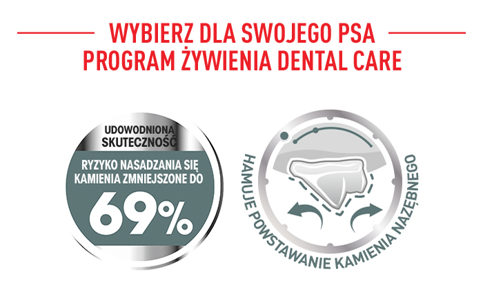 ROYAL CANIN CCN Mini Dental Care karma sucha dla psów dorosłych, ras małych, redukująca powstawanie kamienia nazębnego 8 kg